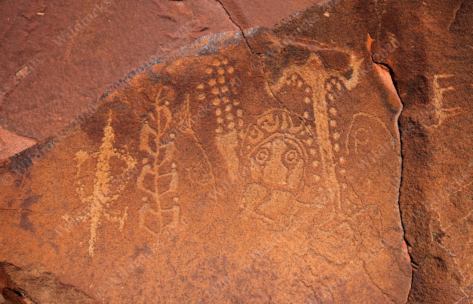 Burrup Rock Art - Wildrocks Publications