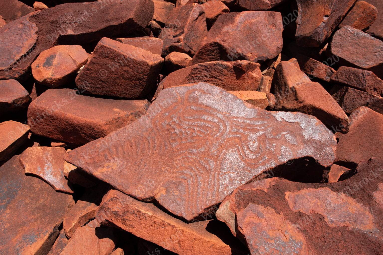 Burrup Rock Art - Wildrocks Publications