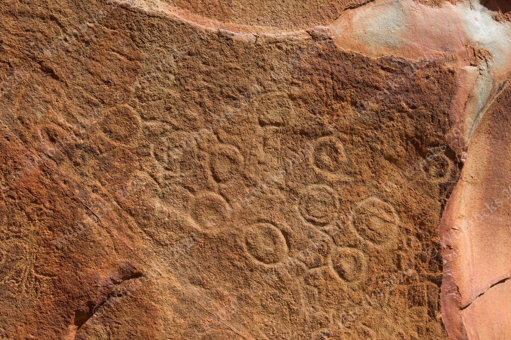 Burrup Rock Art - Wildrocks Publications