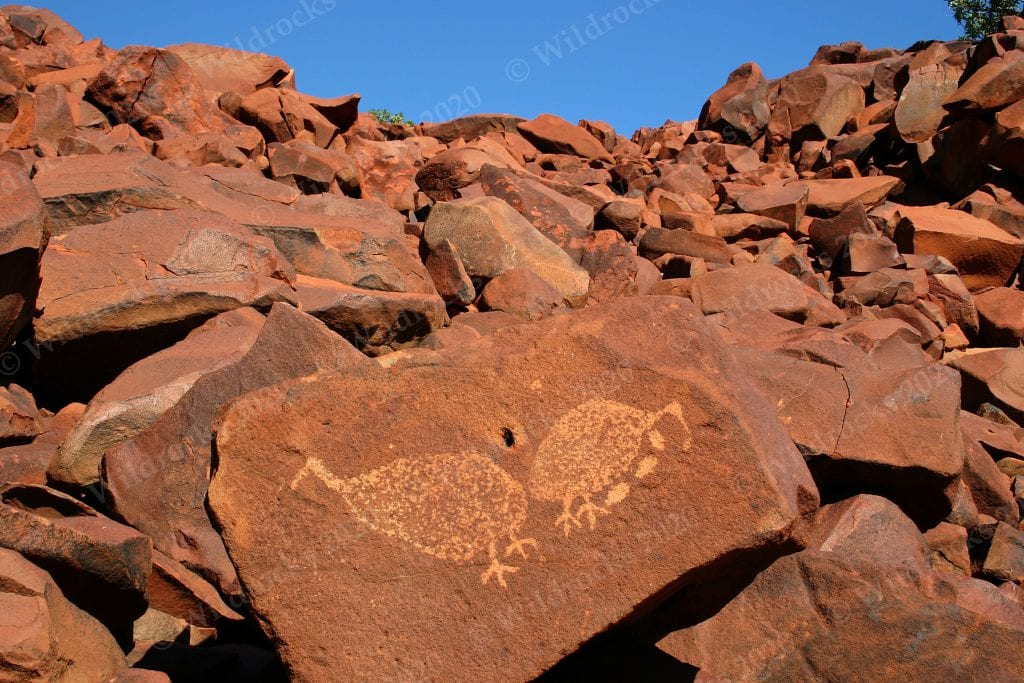 Burrup Rock Art - Wildrocks Publications