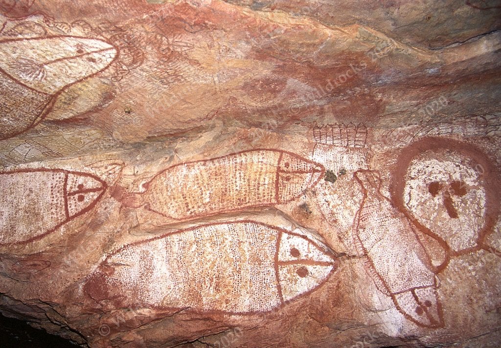 Kimberley Rock Art – Vol 3: Rivers and Ranges - Wildrocks Publications