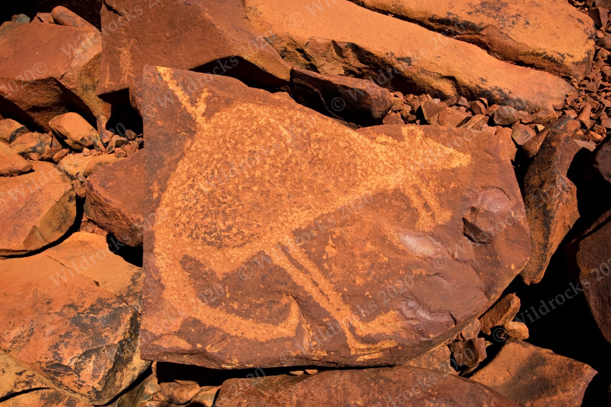 Burrup Rock Art - Wildrocks Publications